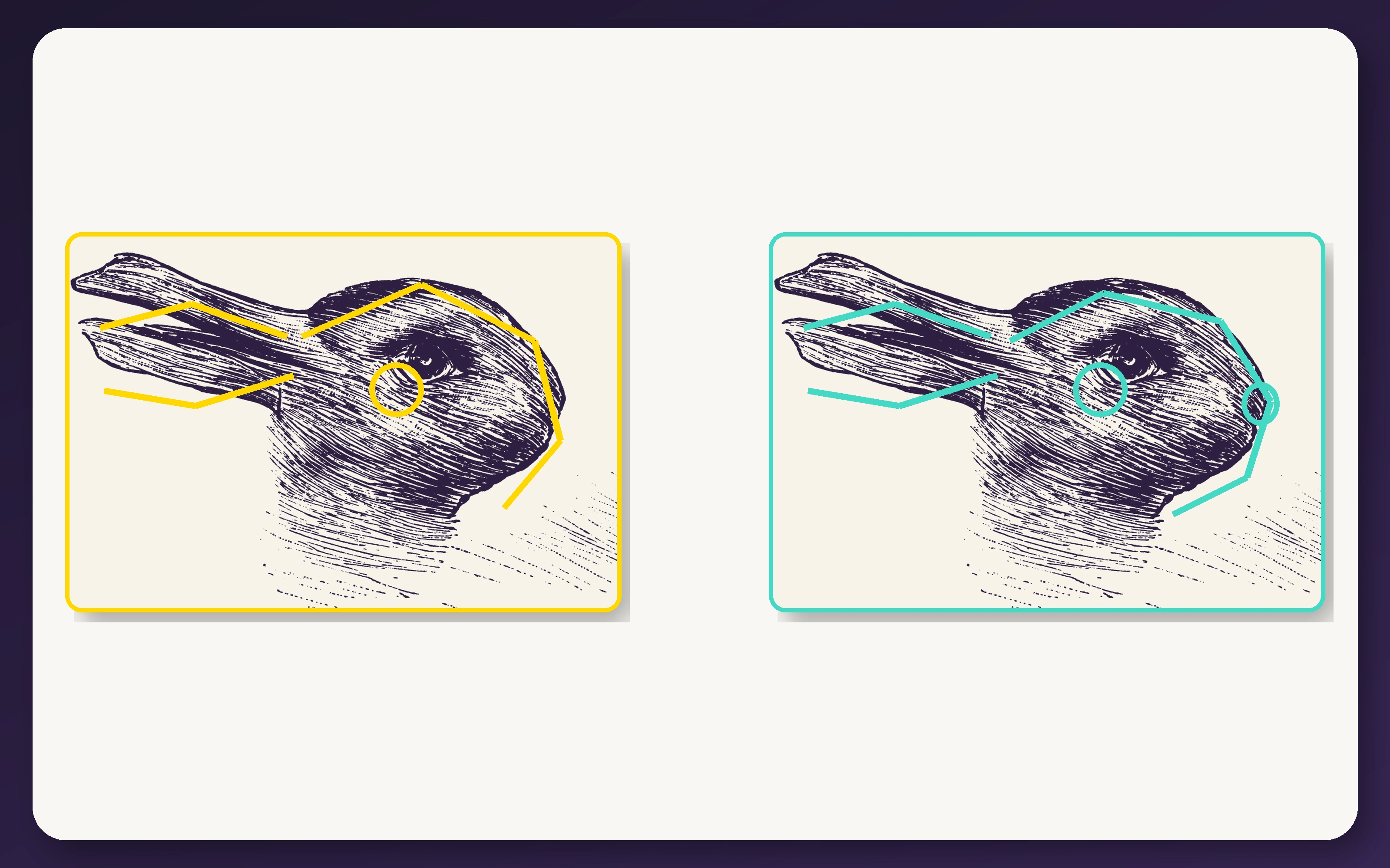 Proof of the Duck-Rabbit illusion with gold lines tracing the duck and teal lines tracing the rabbit over identical copies